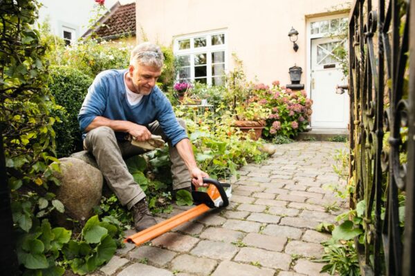 HSA 45 / 500 mm STIHL – Image 2